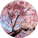 Gely A. profile picture