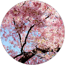 Gely A. profile picture
